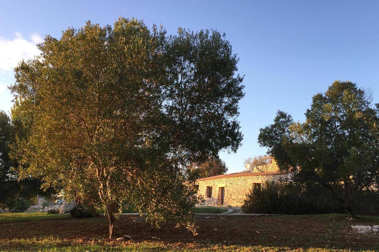 Feudo Pajara Marancio 1 By Salento Prime Villa Salve Exteriör bild
